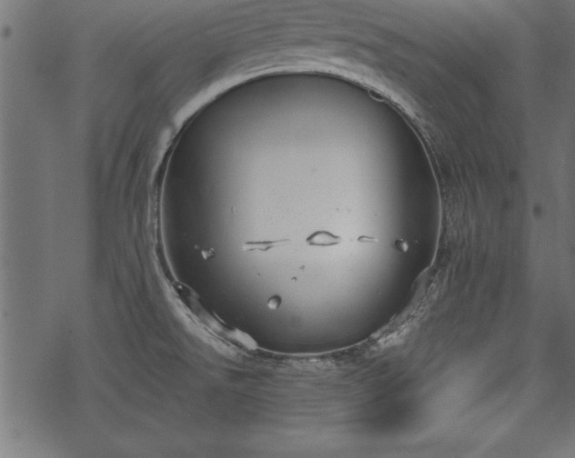 X0000068851526200605081202