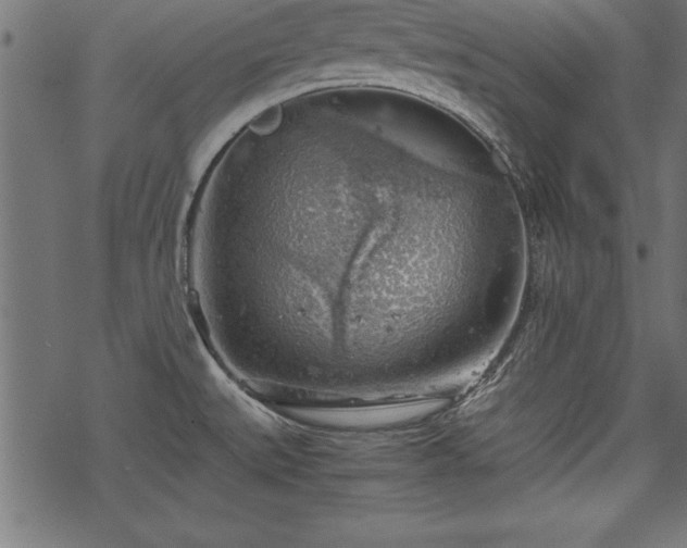 X0000068851527200605081202