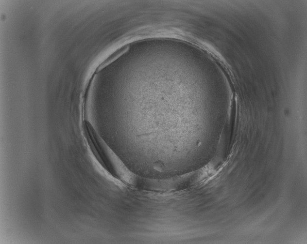 X0000068851528200605081202