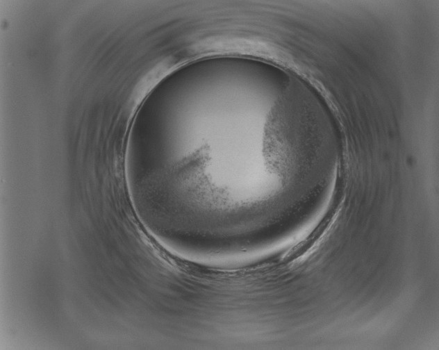 X0000068851529200605081202