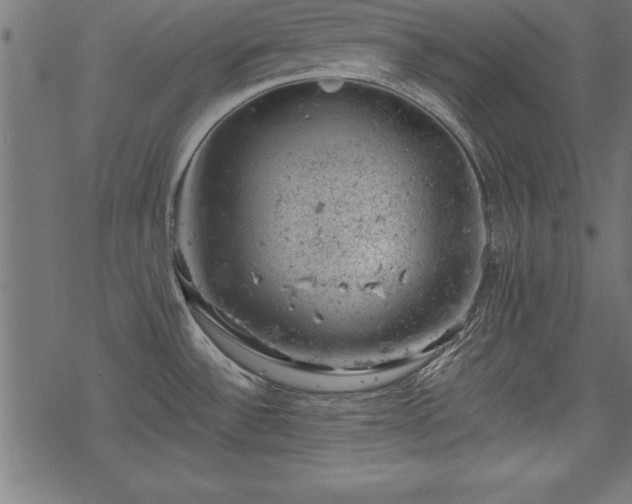 X0000068851532200605081202