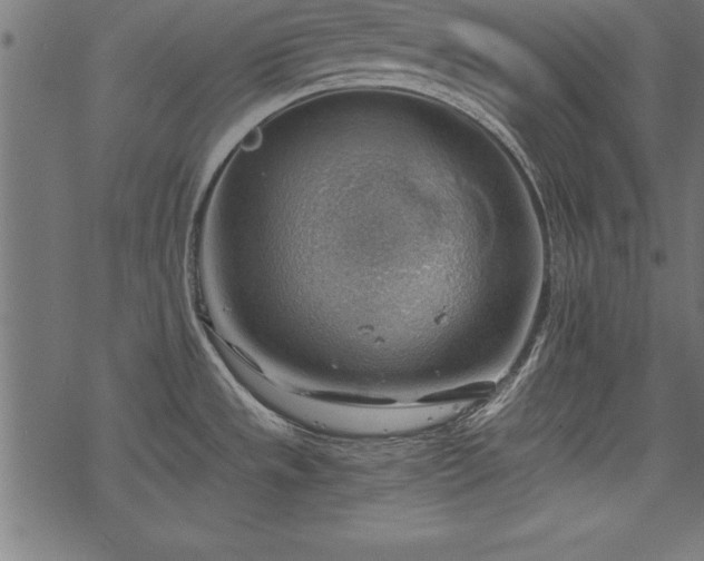 X0000068851533200605081202