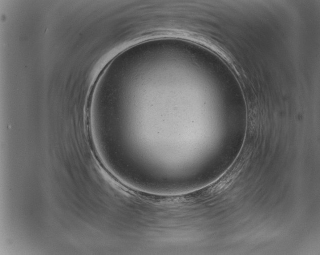 X0000068851535200605081202