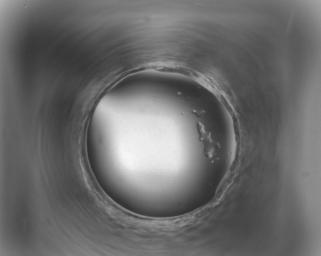 X0000068850001200605121421