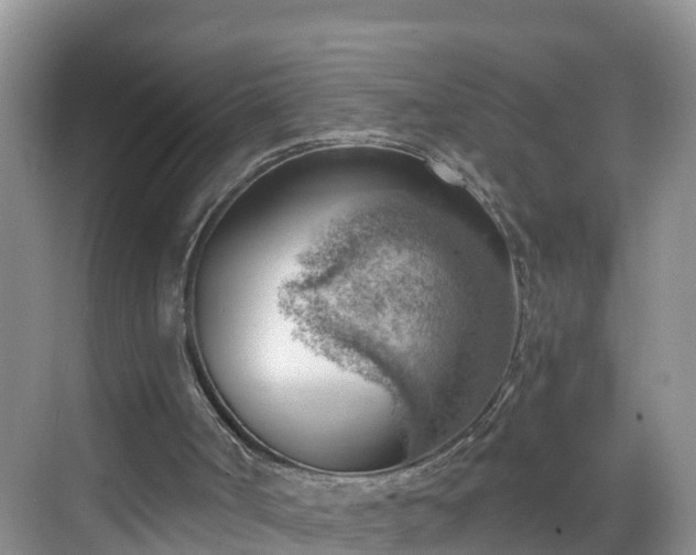 X0000068850002200605121421