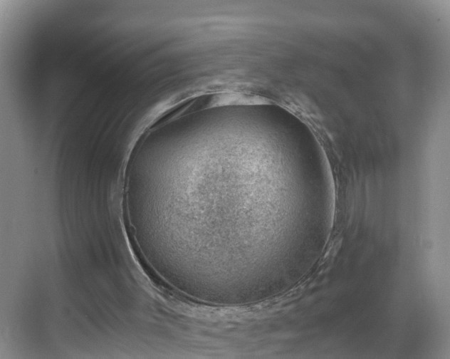 X0000068850003200605121421