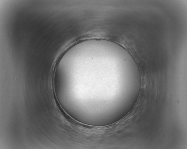 X0000068850004200605121421