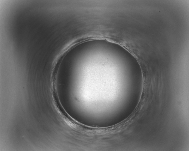 X0000068850005200605121421