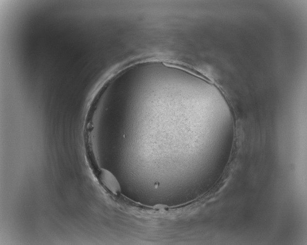 X0000068850007200605121421