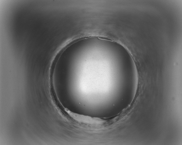 X0000068850008200605121421