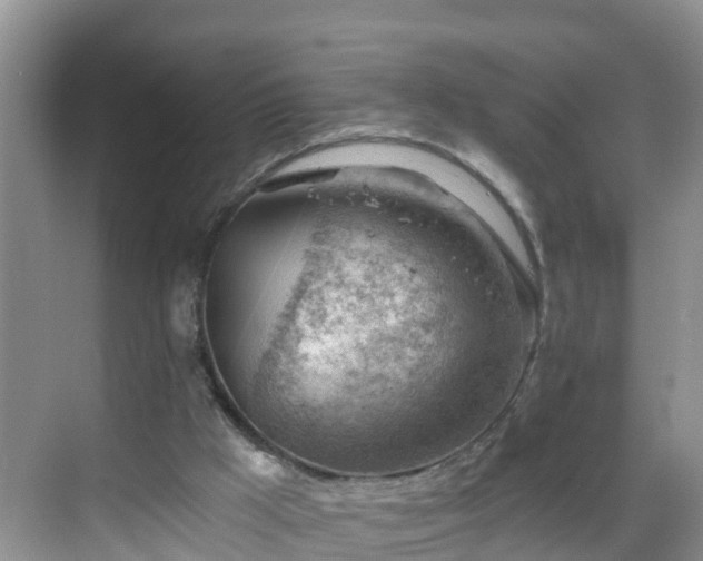 X0000068850009200605121421