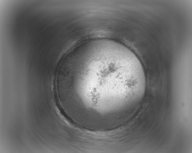 X0000068850010200605121421