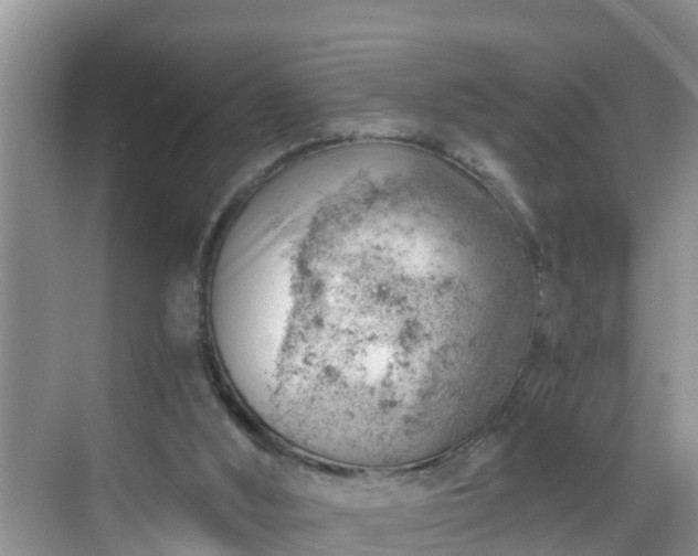 X0000068850012200605121421