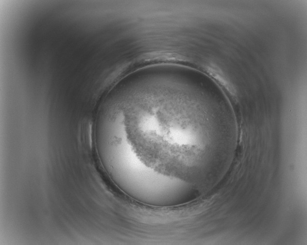 X0000068850014200605121421