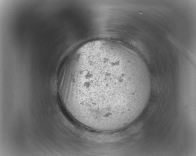 X0000068850016200605121421