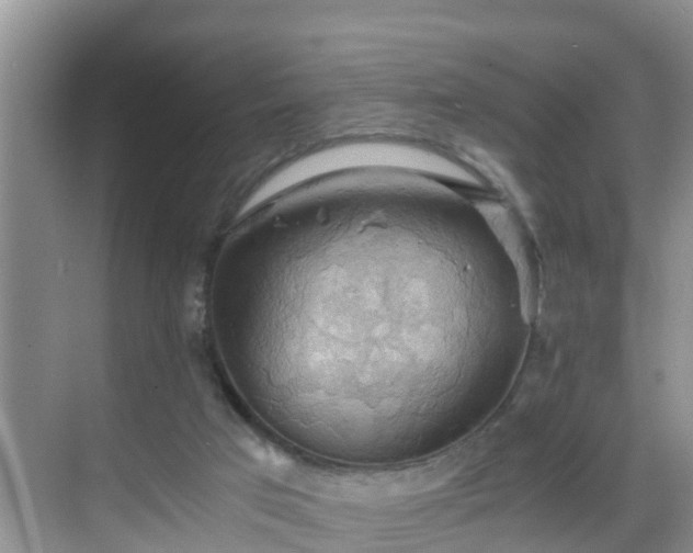 X0000068850017200605121421