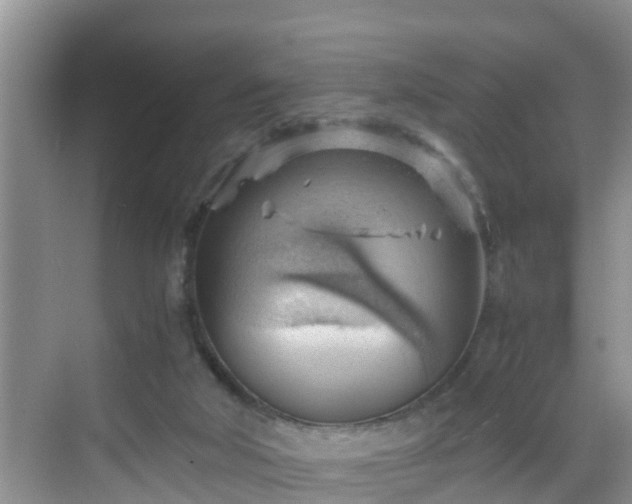 X0000068850018200605121421