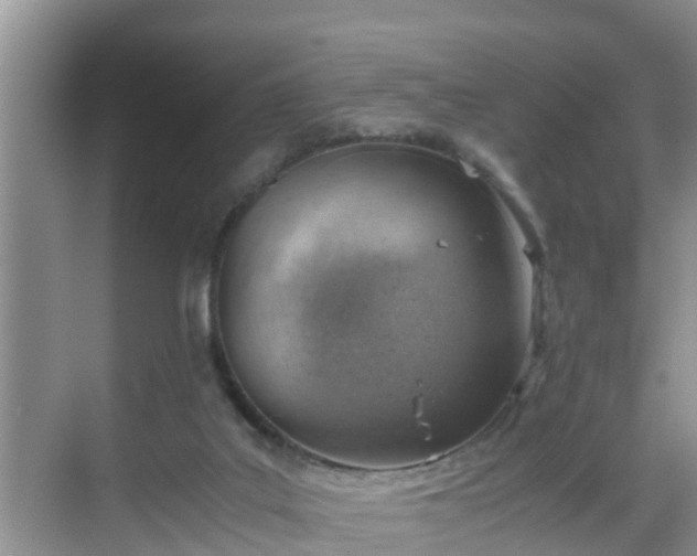 X0000068850019200605121421