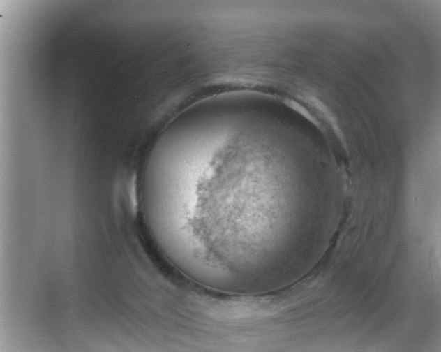 X0000068850020200605121421