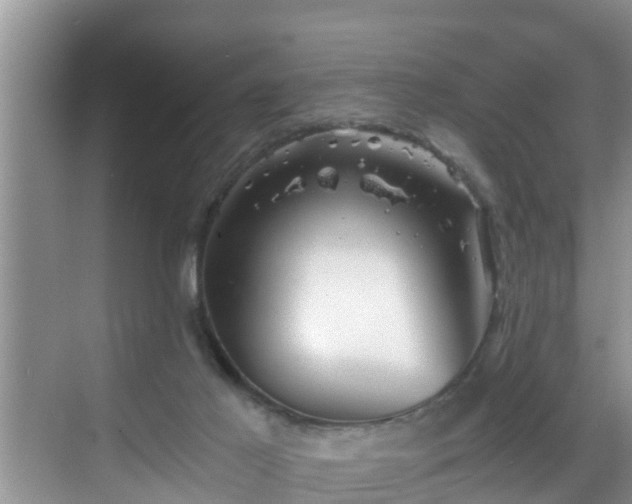 X0000068850021200605121421