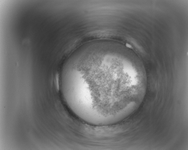 X0000068850022200605121421