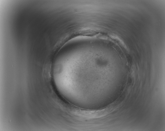 X0000068850023200605121421