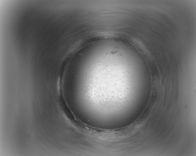 X0000068850024200605121421