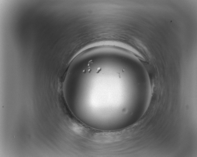 X0000068850025200605121421