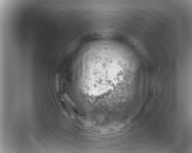 X0000068850026200605121421