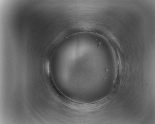 X0000068850027200605121421