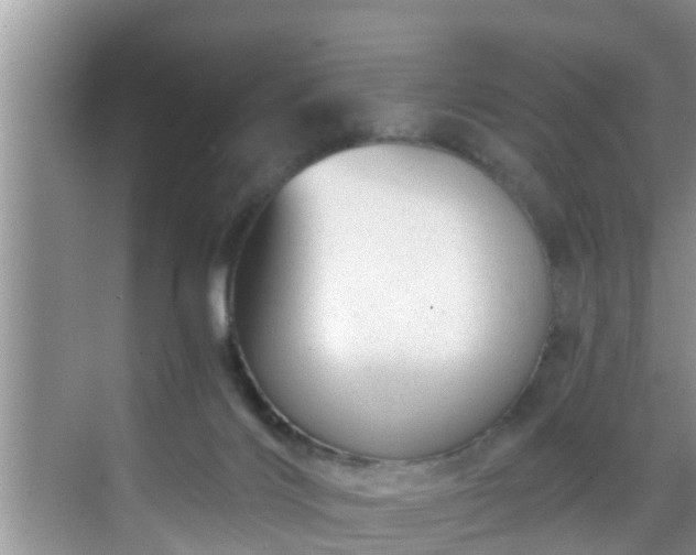 X0000068850028200605121421