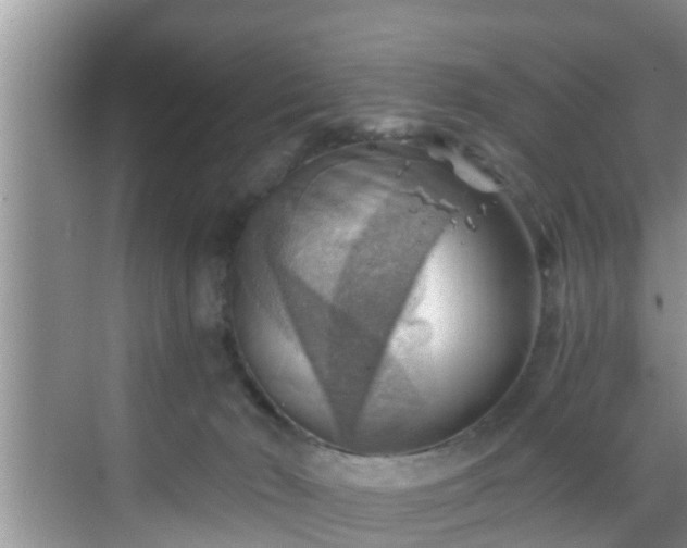 X0000068850030200605121421