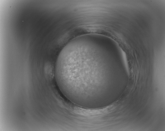 X0000068850031200605121421