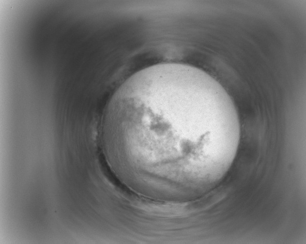 X0000068850032200605121421