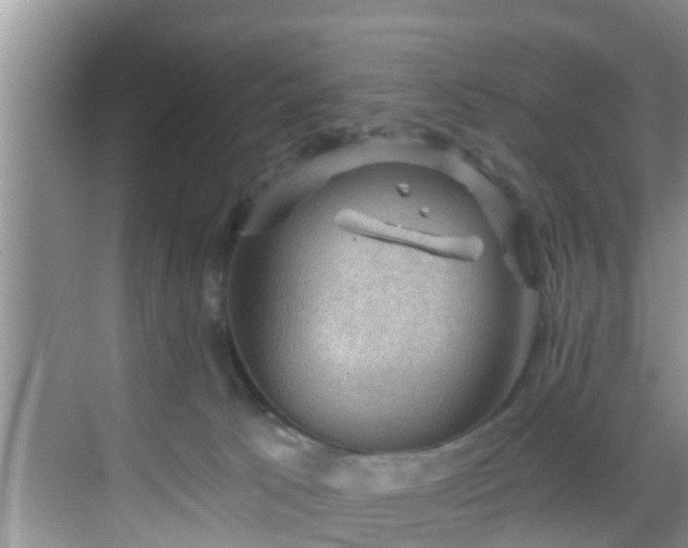 X0000068850033200605121421