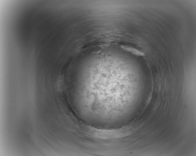 X0000068850034200605121421