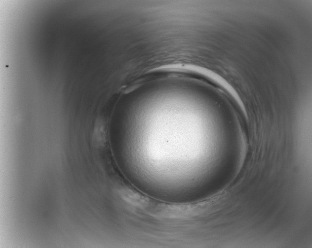 X0000068850037200605121421