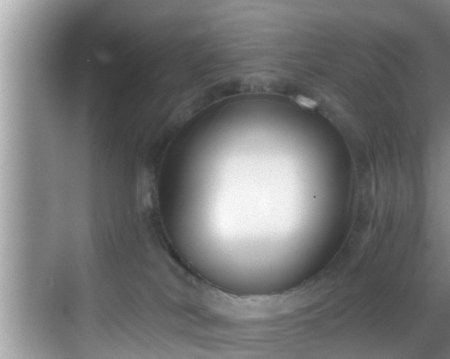 X0000068850038200605121421