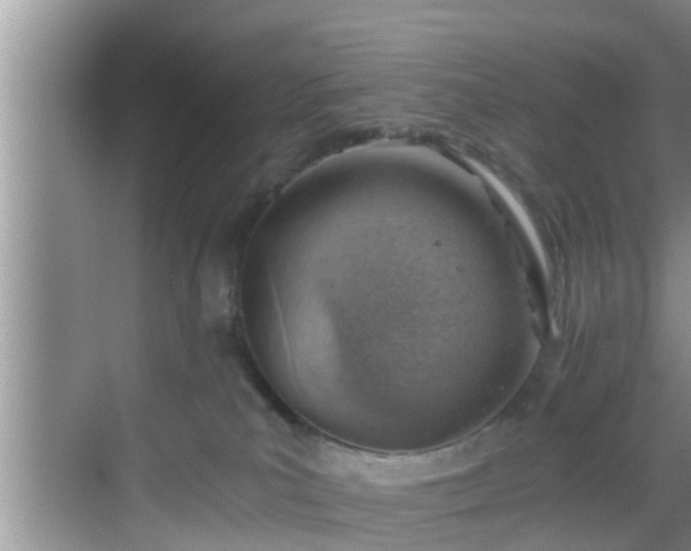 X0000068850039200605121420