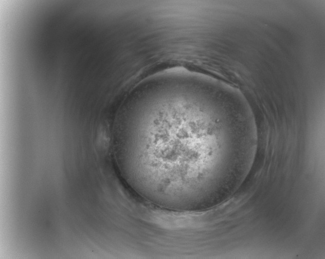 X0000068850040200605121420