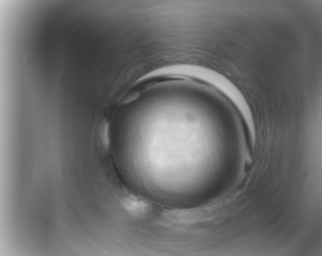 X0000068850041200605121420