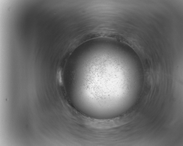 X0000068850042200605121420