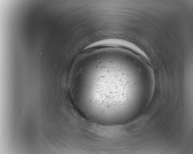 X0000068850044200605121420