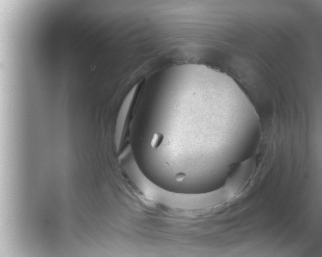 X0000068850045200605121420