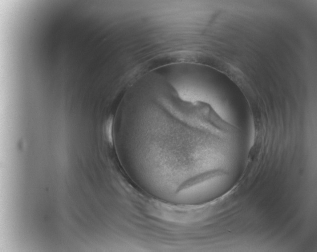 X0000068850047200605121420