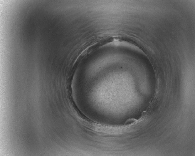 X0000068850048200605121420