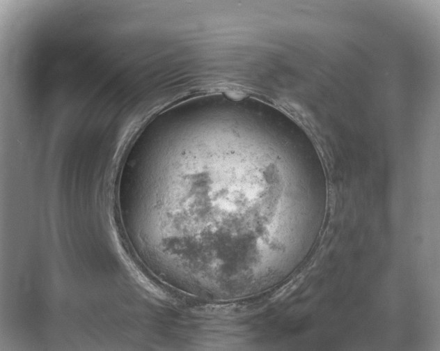 X0000068850049200605121420