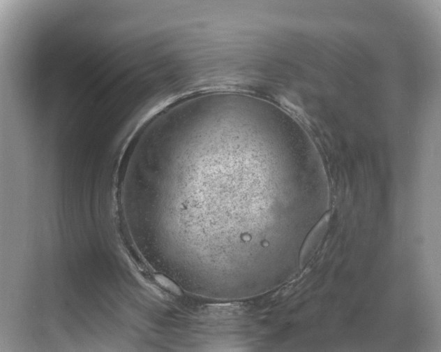 X0000068850050200605121420