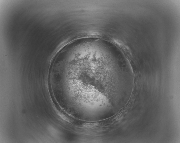 X0000068850051200605121420