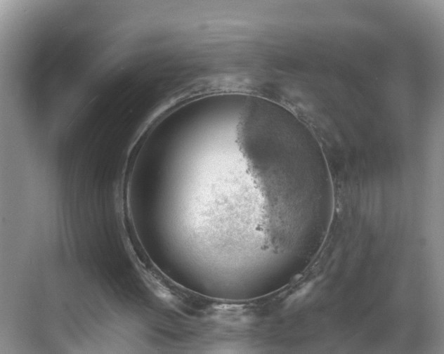 X0000068850052200605121420